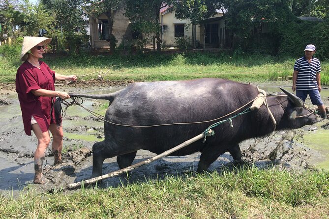 Hoi an Rice Farm Tour and Buffalo Riding With Local Home Meal - Tour Inclusions and Pickup
