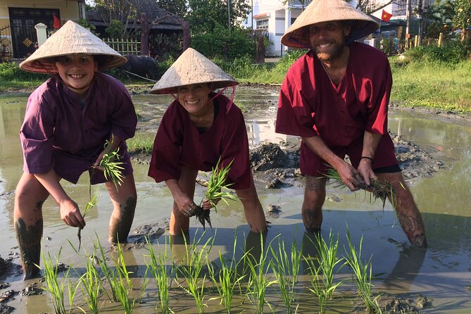Hoi an Rice Farm Tour and Buffalo Riding With Local Home Meal - Reviews and Ratings
