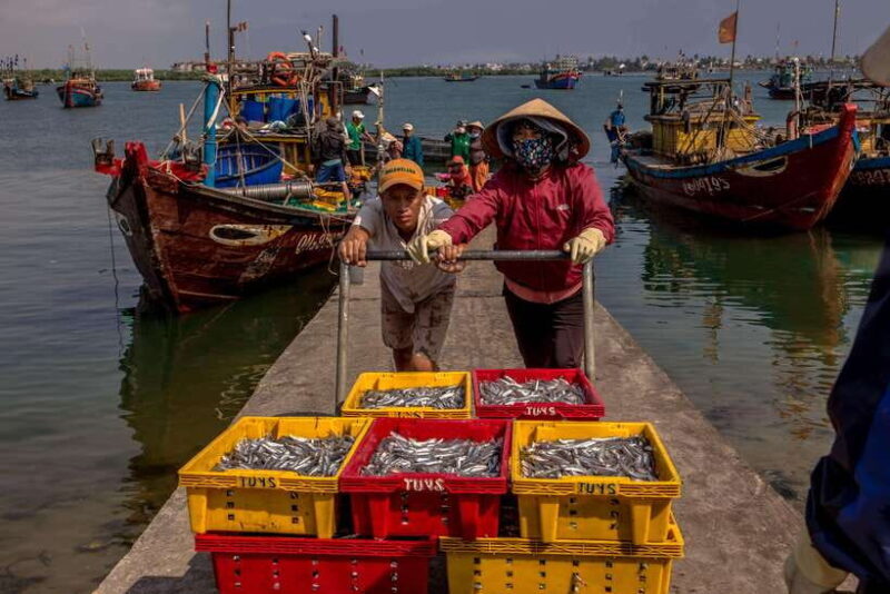 Hoi An River Life Private Photography Tour - Immerse Yourself in the Fishing Culture