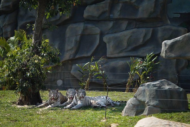 Hoi An River Safari With Candle-lit Beach Dinner From Da Nang - Cancellation Policy