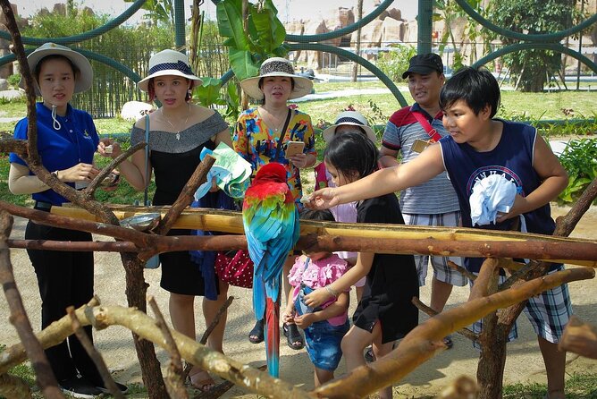 Hoi An River Safari With Candle-lit Beach Dinner From Da Nang - Highlights