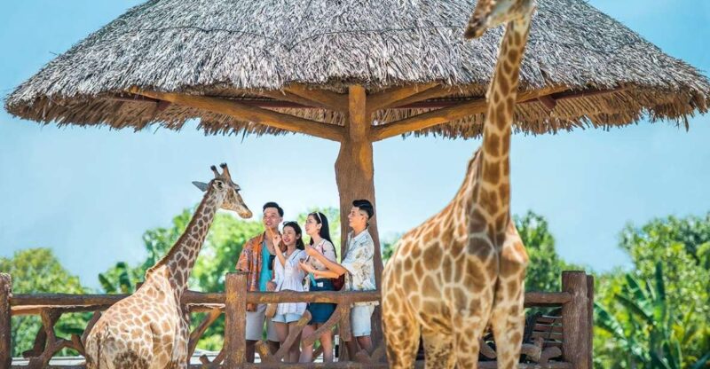 Hoi An: River Safari With Candle-Lit Beach Dinner - Witness Wildlife Safari Spectacle