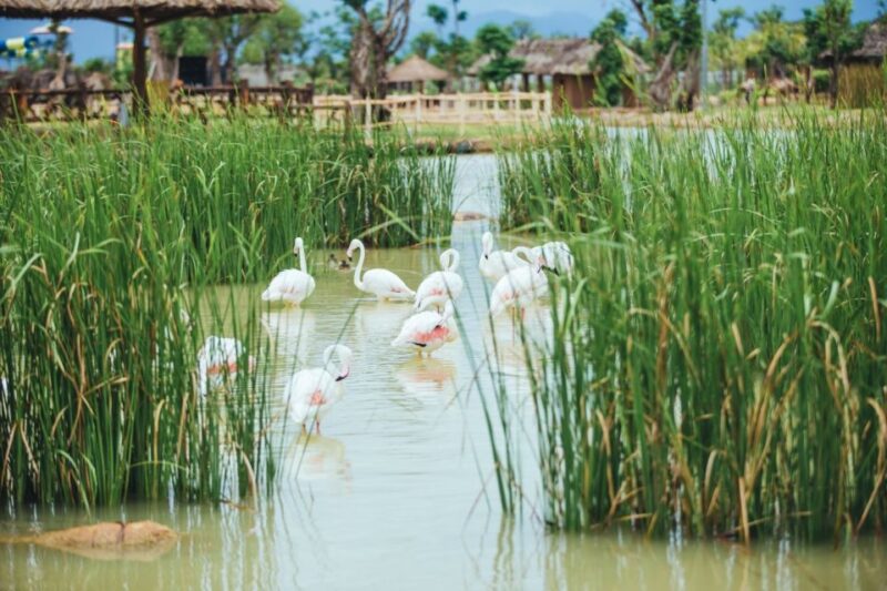 Hoi An: River Safari With Candle-Lit Beach Dinner - Convenient Hotel Pickup and Transfer