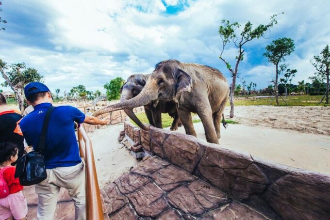 Hoi An: River Safari With Candle-Lit Beach Dinner - Unforgettable Hoi An Adventure