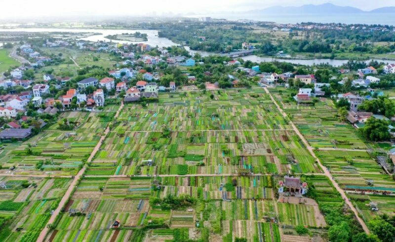 Hoi An: Rural Cycling Tour to Village with Basket Boat Ride - FAQ
