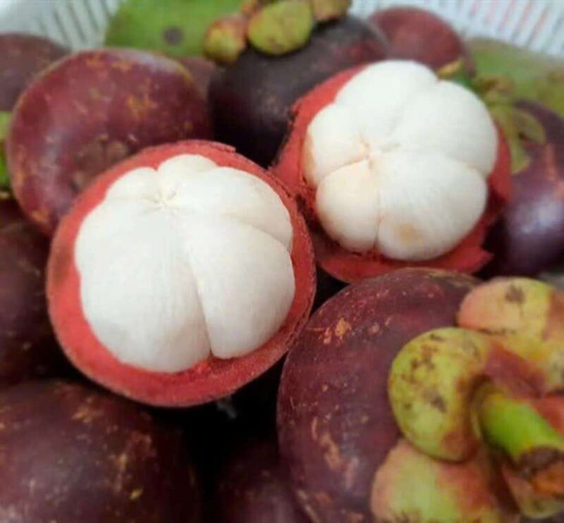Hoi an Seafood, Tropical Fruits Tasting and Making Lantern. - Group Size and Language