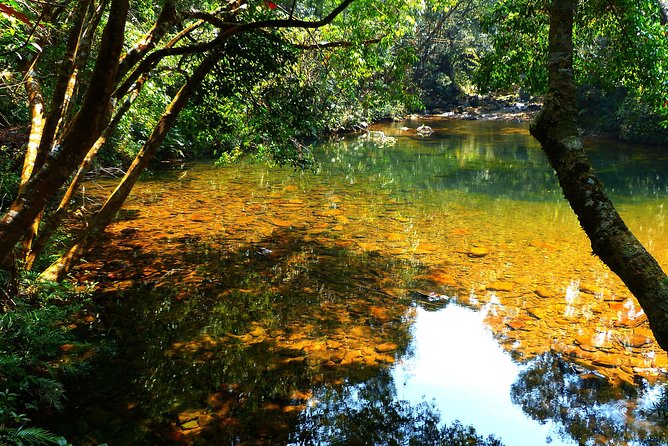 Hoi An To Bach Ma National Park Review - Inclusions and Exclusions