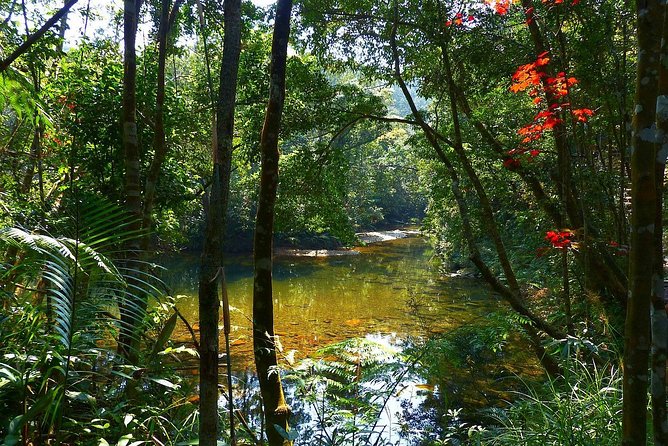 Hoi An To Bach Ma National Park Review - Booking and Confirmation