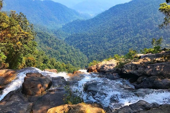 Hoi An To Bach Ma National Park Review - Tour Highlights and Activities