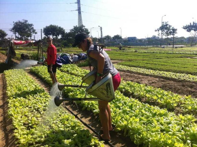 Hoi An: Tra Que Village Tour & Lantern Making Class - Since You Asked