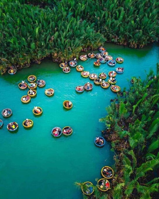 Hoi An: Vegetarian Cooking Class and Basket Boat Ride - Savoring the Dishes You Prepared Yourself