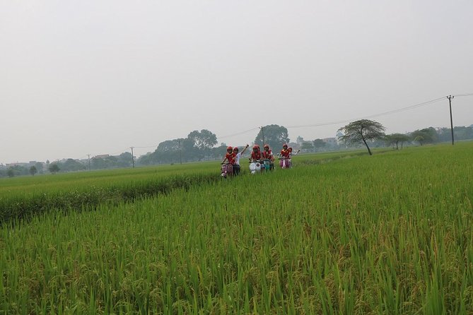 Hoi an Vespa Countryside Tour - Islands & Rural Villages 5 Hours - Tour Overview