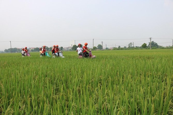 Hoi an Vespa Countryside Tour - Islands & Rural Villages 5 Hours - Taking in Rural Villages