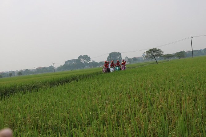Hoi an Vespa Countryside Tour - Islands & Rural Villages 5 Hours - Vintage Vespa Experience