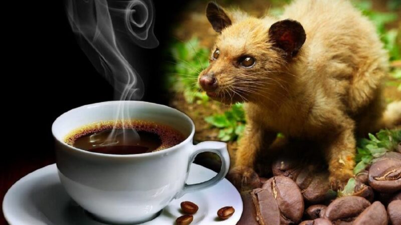 Hoi An: Vietnamese Coffee Culture and Coffee Making Class - Class Inclusions and Duration