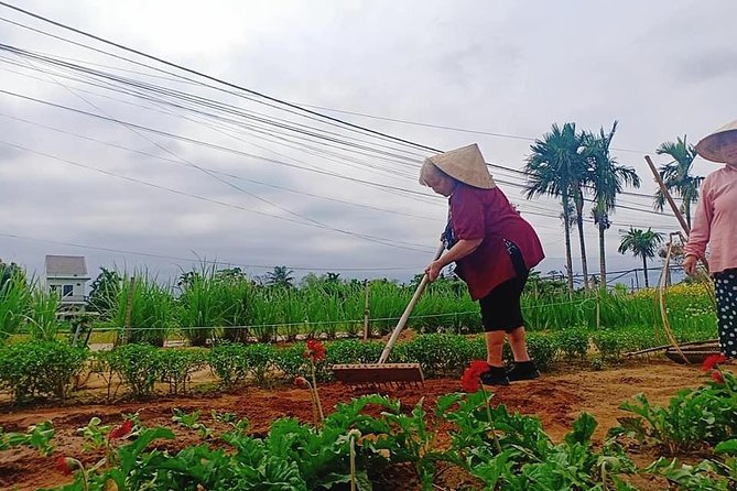 Hoi an Village Experience Tour With 3 Villages in Hoi an - Exploring the Three Villages