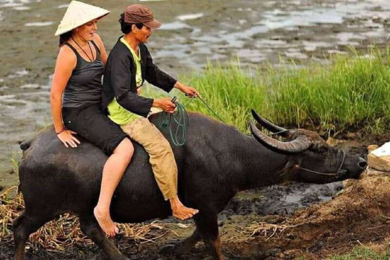 Hoi An Wet Rice Farming Tour-Basket Boat Tour Fishing-Lunch - Activities and Experiences