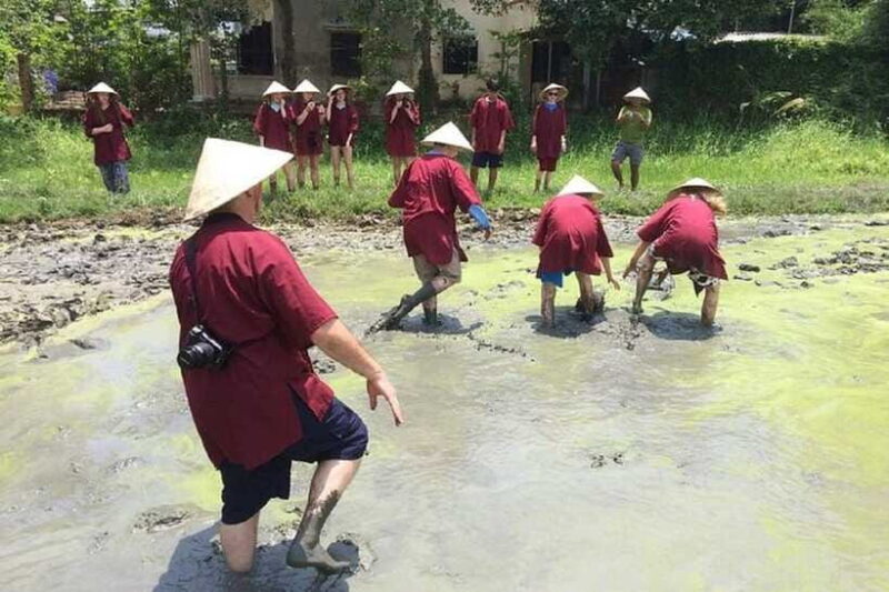 Hoi An Wet Rice Farming Tour-Basket Boat Tour Fishing-Lunch - Options and Inclusions