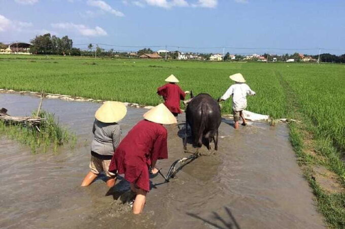 Hoi An Wet Rice Farming Tour-Basket Boat Tour Fishing-Lunch - Preparing for the Tour