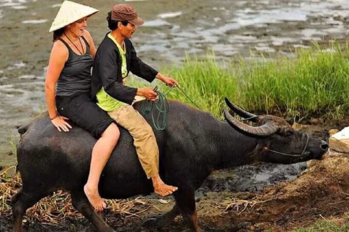 Hoi An Wet Rice Farming Tour-Basket Boat Tour Fishing-Lunch - What to Expect During the Tour