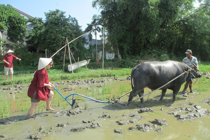 Hoi An Wet Rice Farming Tour Private Round Boat Fishing & Lunch - Wet Rice Farming