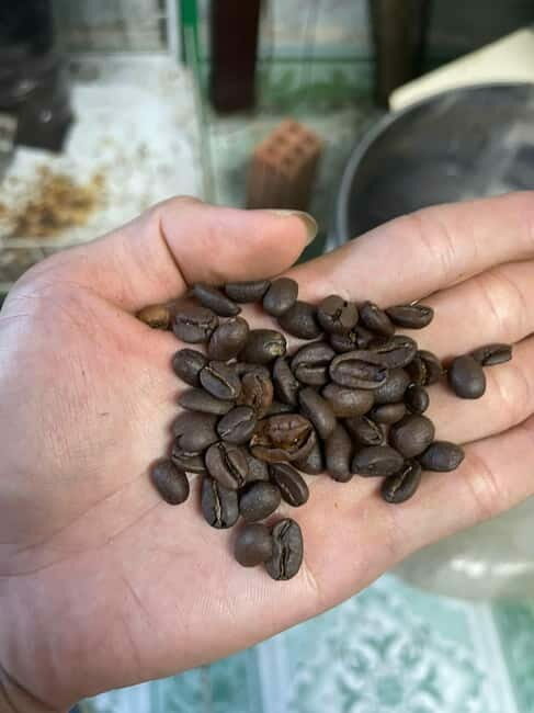 Hoi An:Coffee Making Class (Coffee: egg, Salt, Coconut, ...) - What to Know Before You Go