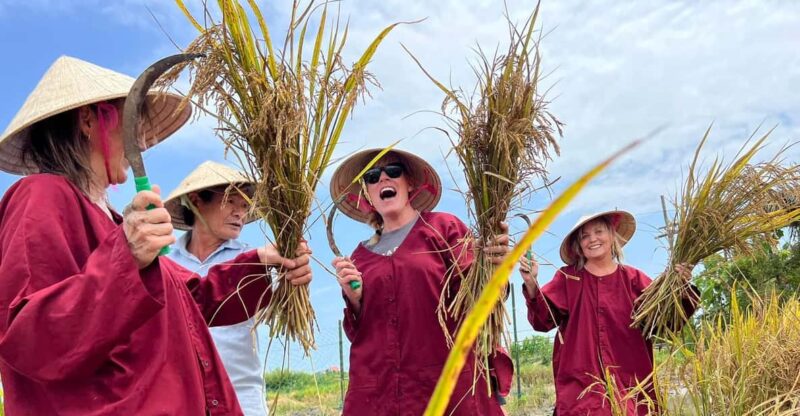Hoi An:Lattern Making-Be A Real Farmer At Tra Que Village - Itinerary