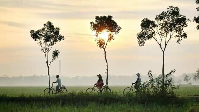 Hoi An:Lattern Making-Be A Real Farmer At Tra Que Village - Lantern Making Workshop