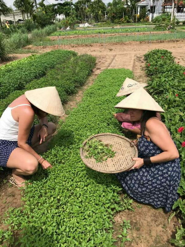 Hoian/Da Nang: Fishing, basket riding and cooking class - Key Points
