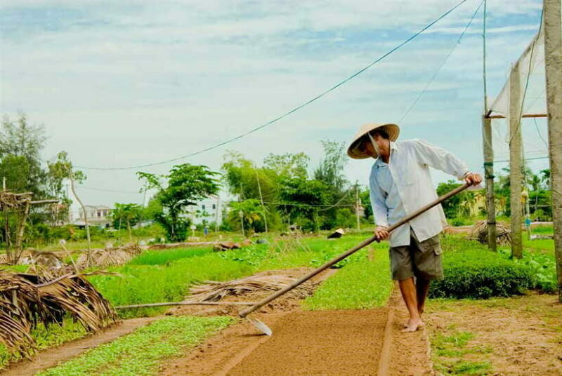 Hoian/Da Nang: Fishing, basket riding and cooking class - The reviews: a balanced view