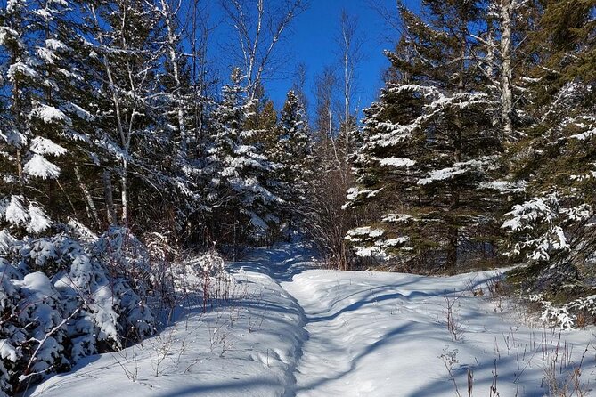 Hok Skiing Introduction (Two Harbors, Larsmont Cottages) - Provided Equipment