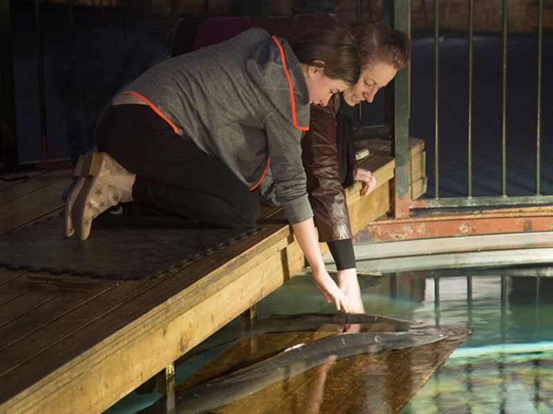 Hokitika: The National Kiwi Centre Tickets - Feeding Times and Activities