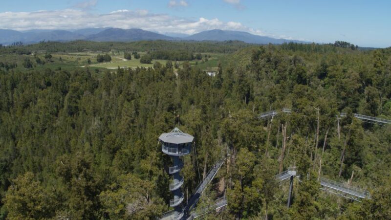 Hokitika: West Coast Tree Top Tower Zip Line and Walk - Key Points
