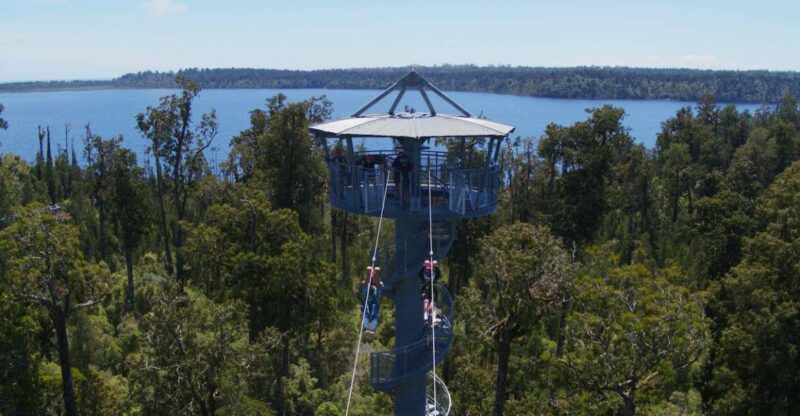 Hokitika: West Coast Tree Top Tower Zip Line and Walk - Experience Highlights