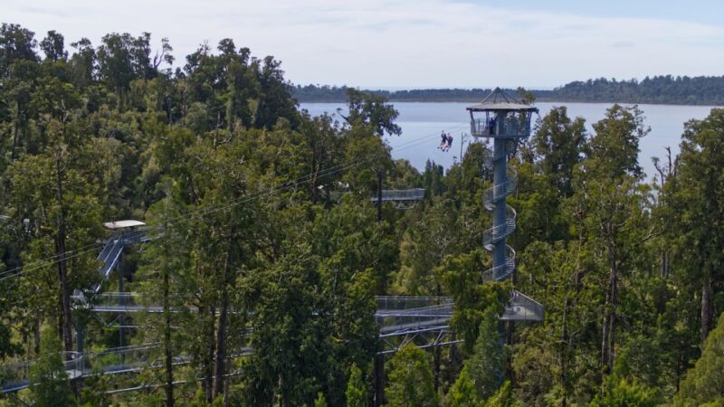 Hokitika: West Coast Tree Top Tower Zip Line and Walk - Participant Restrictions