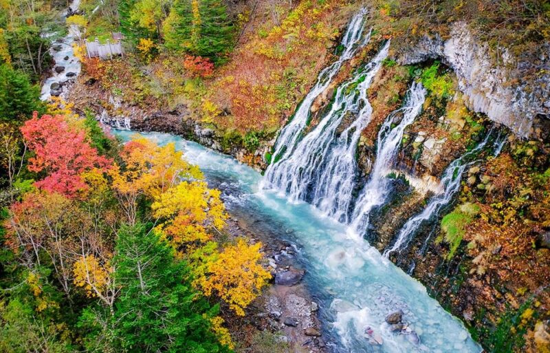 Hokkaido 1-Day Trip: Asahiyama Zoo, Biei and Ningle Terrace - Furano Shikisai-no-oka