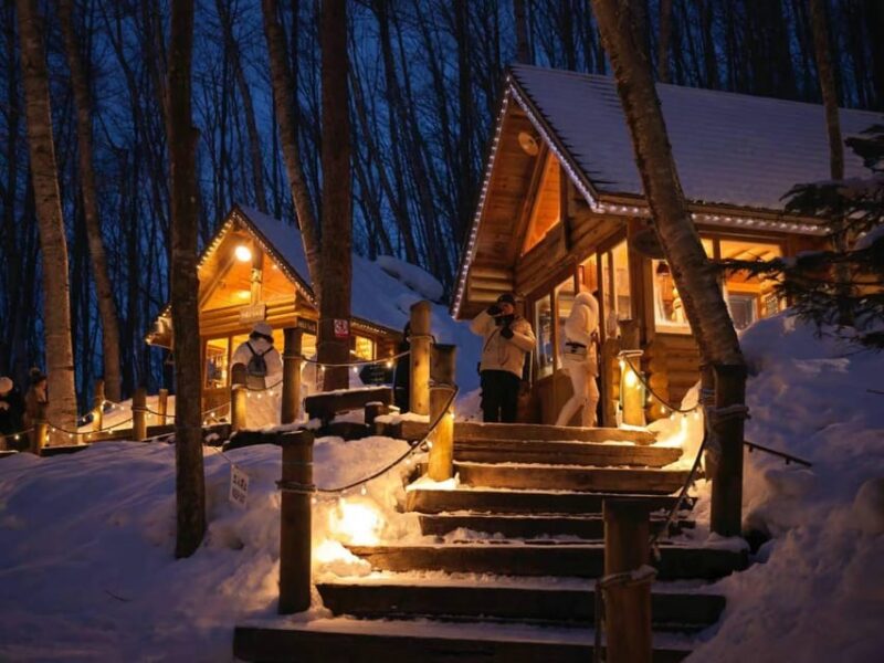 Hokkaido: Asahiyama Zoo, Biei, and Ningle Terrace Tour - Shikisai-no-oka Activities