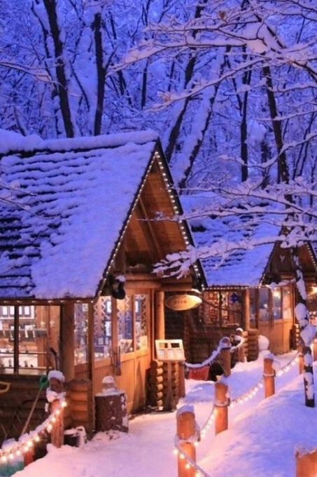 Hokkaido: Asahiyama Zoo, Biei, and Ningle Terrace Tour - Restrictions and Requirements
