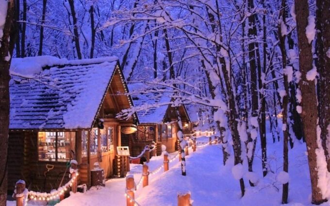 Hokkaido: Asahiyama Zoo, Biei, and Ningle Terrace Tour - Adverse Weather Conditions