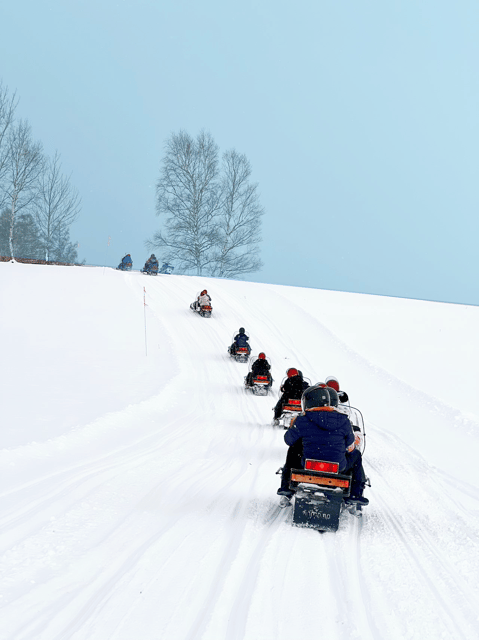 Hokkaido: Asahiyama Zoo, Biei, and Ningle Terrace Tour - Quaint Shops and Souvenirs