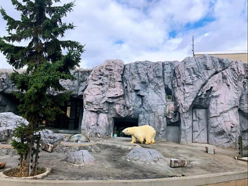 Hokkaido Asahiyama Zoo, Biei, Aoike, Elf Terrace Day Tour - Key Points