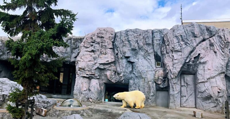 Hokkaido Asahiyama Zoo, Biei, Aoike, Elf Terrace Day Tour - Exploring Asahiyama Zoo