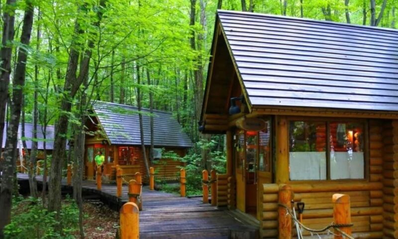 Hokkaido Asahiyama Zoo, Biei, Aoike, Elf Terrace Day Tour - Discovering Bieis Landscapes