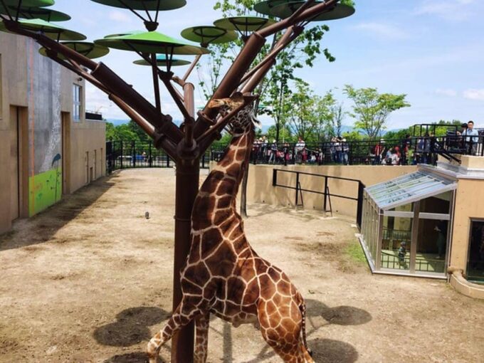 Hokkaido Asahiyama Zoo, Biei, Aoike, Elf Terrace Day Tour - Highlights of the Tour