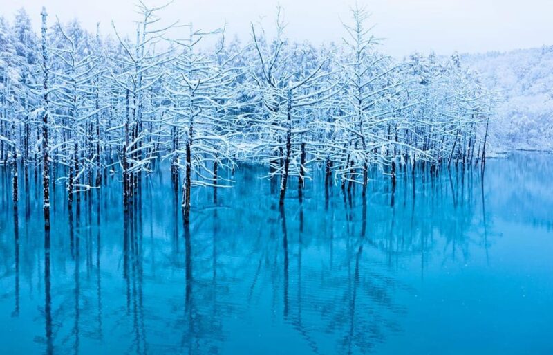 Hokkaido: Asahiyama Zoo, Biei, Ningle Terrace Full-Day Trip - Exploring Biei Attractions