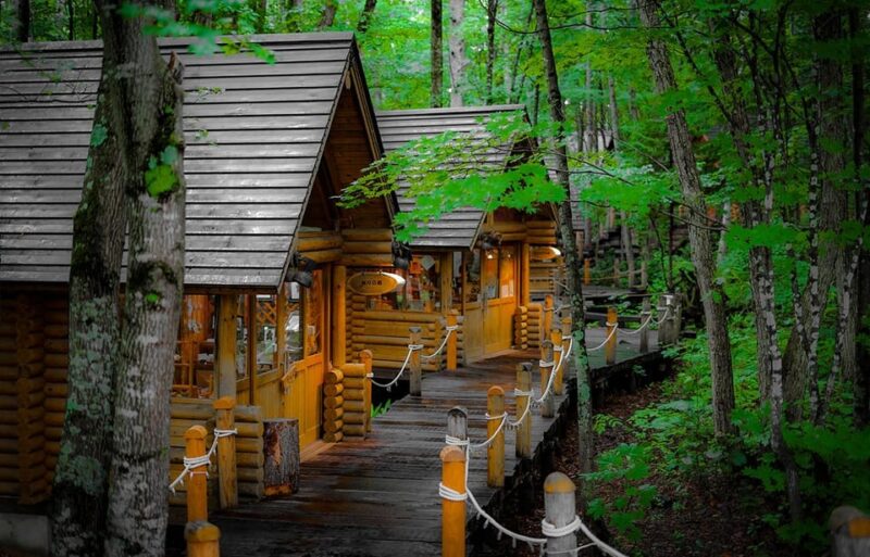 Hokkaido: Asahiyama Zoo, Biei, Ningle Terrace Full-Day Trip - Discovering Shirogane Blue Pond