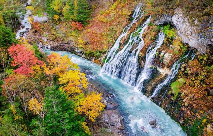 Hokkaido: Asahiyama Zoo, Biei, Ningle Terrace Full-Day Trip - Frequently Asked Questions