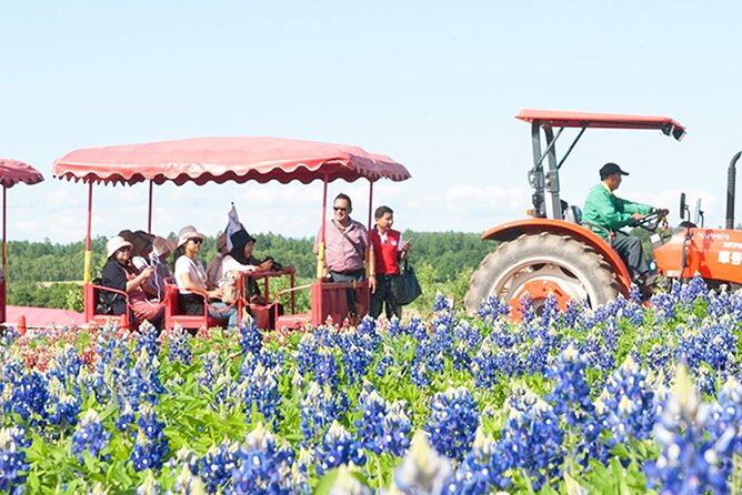 Hokkaido: Asahiyama Zoo, Furano, and Ningle Terrace Full Day Tour - Furano