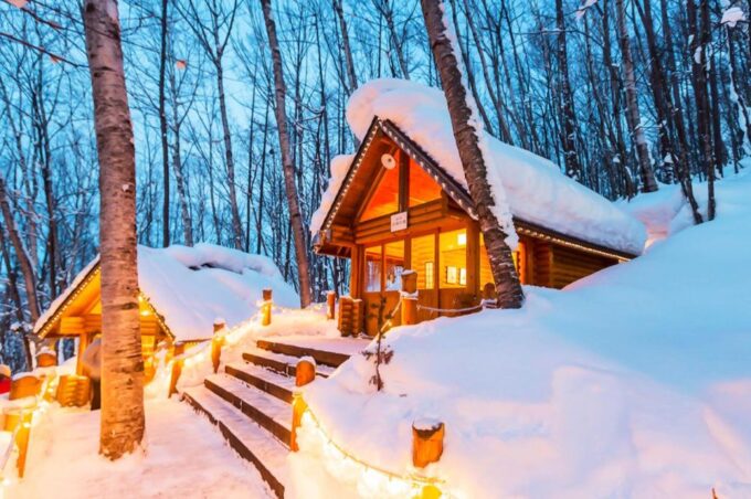 Hokkaido: Asahiyama Zoo, Furano, and Ningle Terrace Tour - Frequently Asked Questions