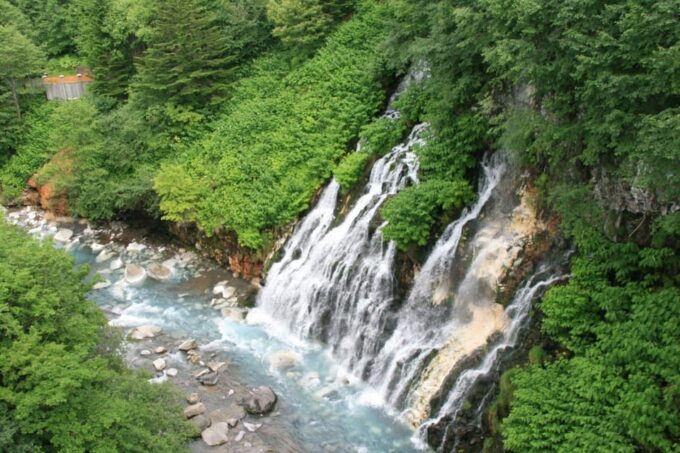 Hokkaido Asahiyama Zoo Tour With Melon Buffet Option - Return to Sapporo